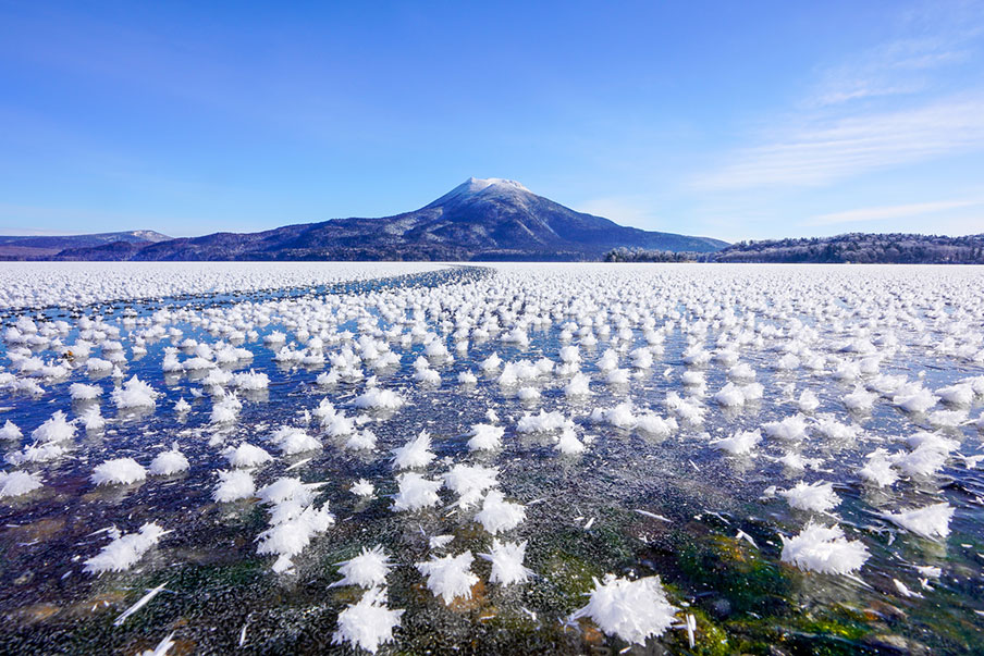 Có nên đi xuất khẩu lao động ở Hokkaido